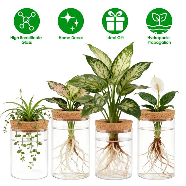 4‑Pack Glass Propagation Stations – Indoor Hydroponic Plant Vases (2 Large + 2 Small)