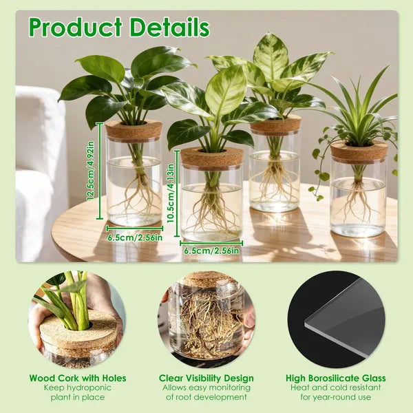 4‑Pack Glass Propagation Stations – Indoor Hydroponic Plant Vases (2 Large + 2 Small)