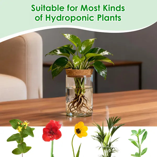 4‑Pack Glass Propagation Stations – Indoor Hydroponic Plant Vases (2 Large + 2 Small)