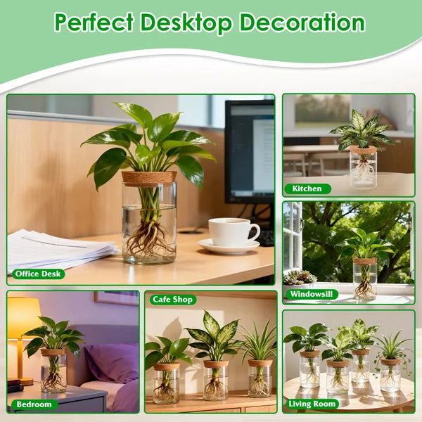 4‑Pack Glass Propagation Stations – Indoor Hydroponic Plant Vases (2 Large + 2 Small)